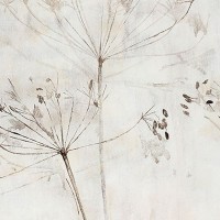 Ich-sammle-die-Schatten-I