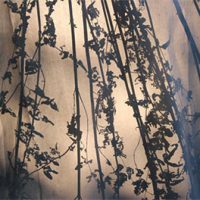 Foto: © Clemens Feigel