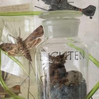 Foto: © Clemens Feigel