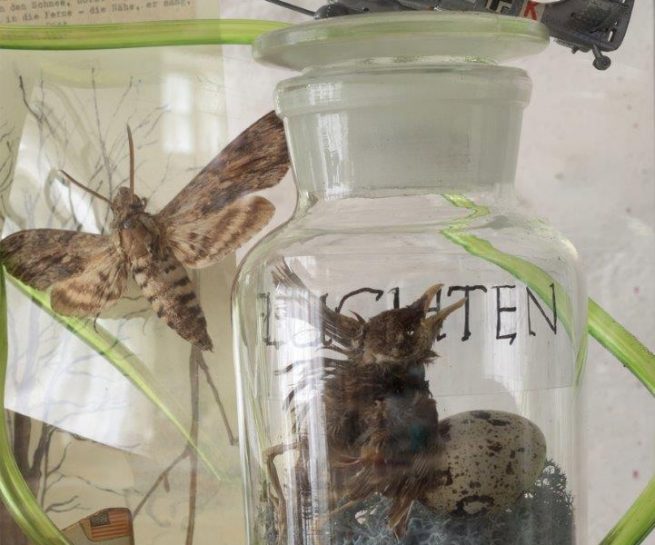 Foto: © Clemens Feigel